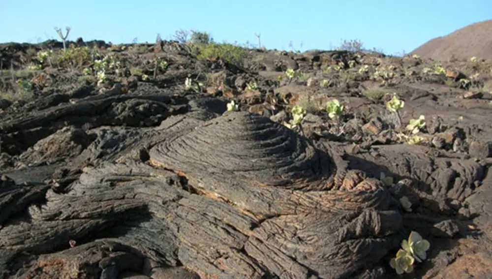 Conservación de los grabados rupestres de El Julan