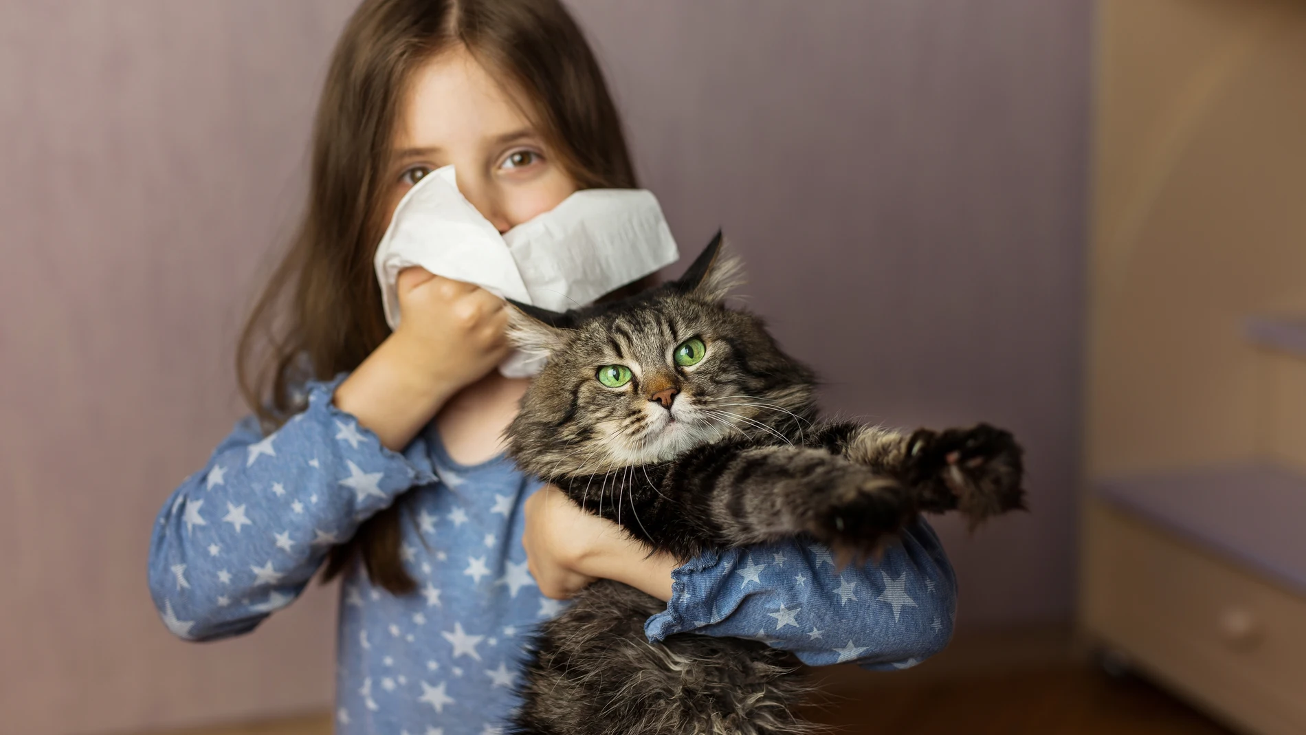 Niña con pañuelos por alergia a los gatos