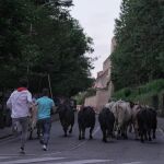 ¿Qué es, en qué consiste y cuándo se realiza "El Encierrillo" en Pamplona?