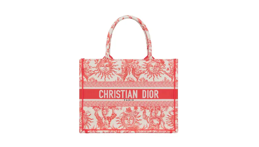 Bolso tote Dior rivera