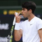 Wimbledon Championships 2024 - Day 14