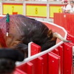 Feria del Toro de Pamplona