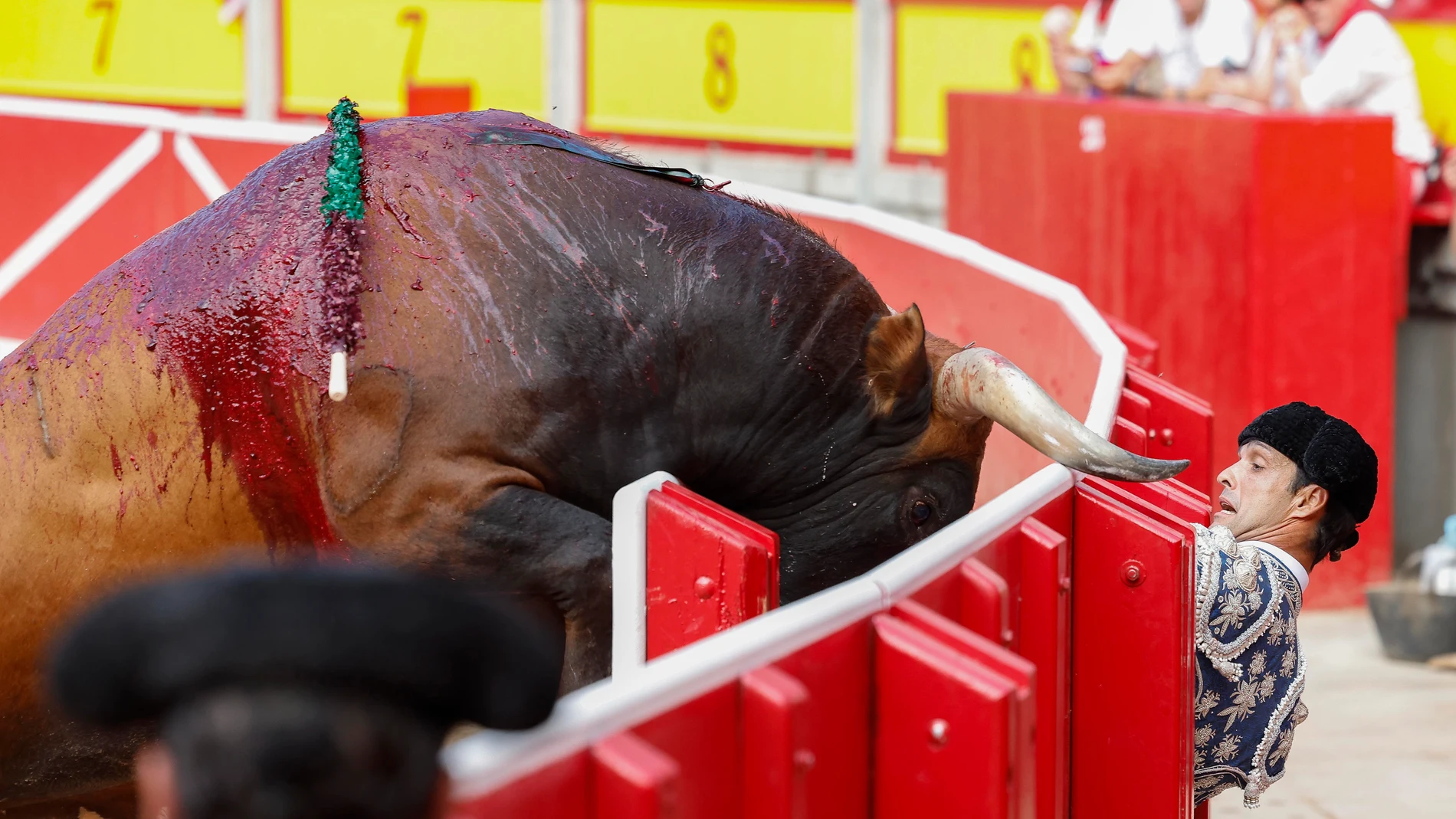PAMPLONA, 14/07/2024.- El primer toro de Antonio Ferrera, de la ganadería Miura, ha amagado con saltar al callejón durante la última corrida de la Feria del Toro de Pamplona, en la que ha compartido cartel con Manuel Escribano y Jesús Enrique Colombo. EFE/ Villar López