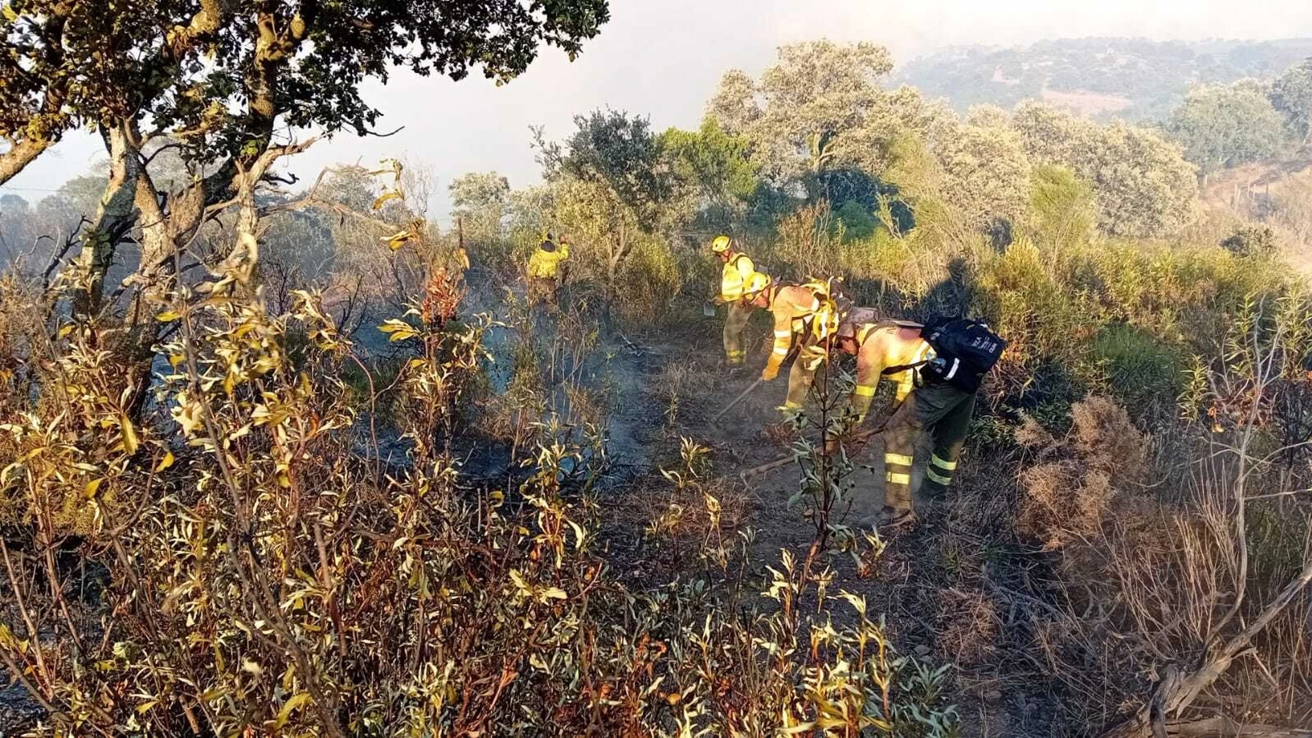Miembros de Infoca en los trabajos de "estabilización"