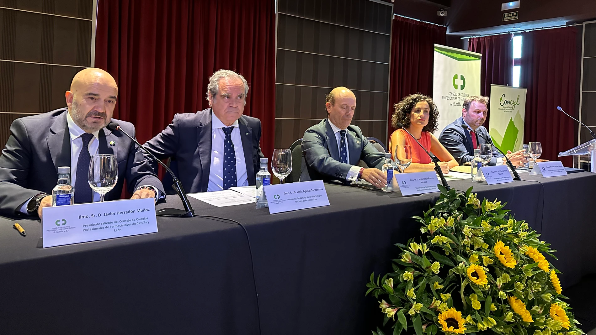 María Engracia Pérez Palomero, nueva presidenta del Colegio de Farmacéuticos de Castilla y León