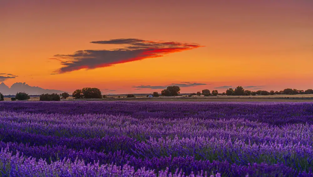 Atardecer malva en Caleruega