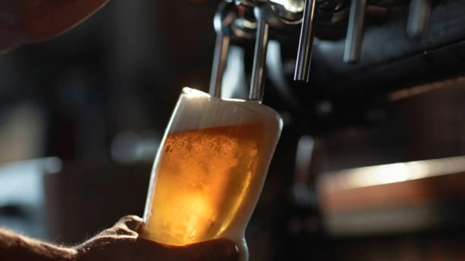 Cerveza