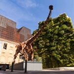 La réplica del Patagotitan Mayorum instalada en Madrid