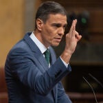 Pedro Sánchez 