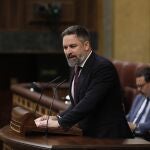 Comparecencia del presidente del Gobierno, Pedro Sánchez en el Congreso. Santiago Abascal 