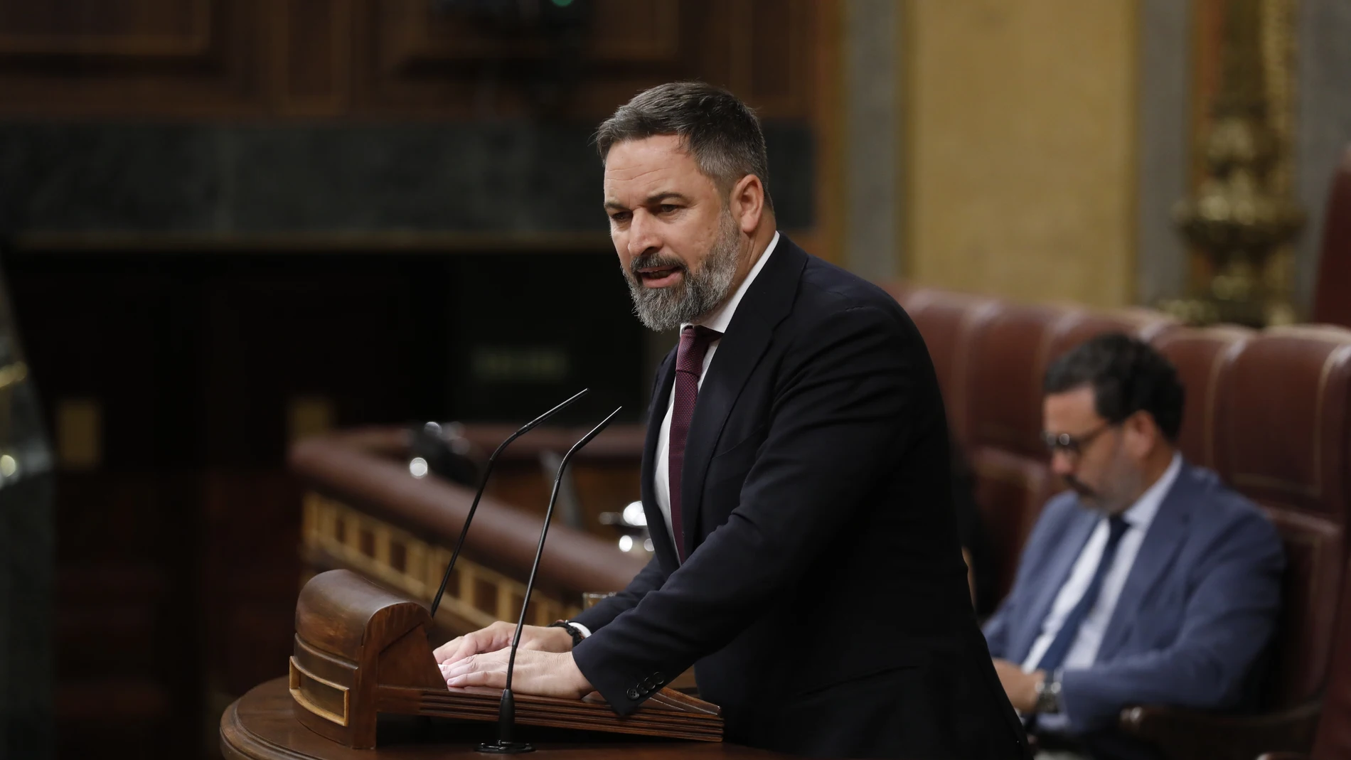 Comparecencia del presidente del Gobierno, Pedro Sánchez en el Congreso. Santiago Abascal