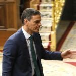 Pedro Sánchez, en el Congreso. 