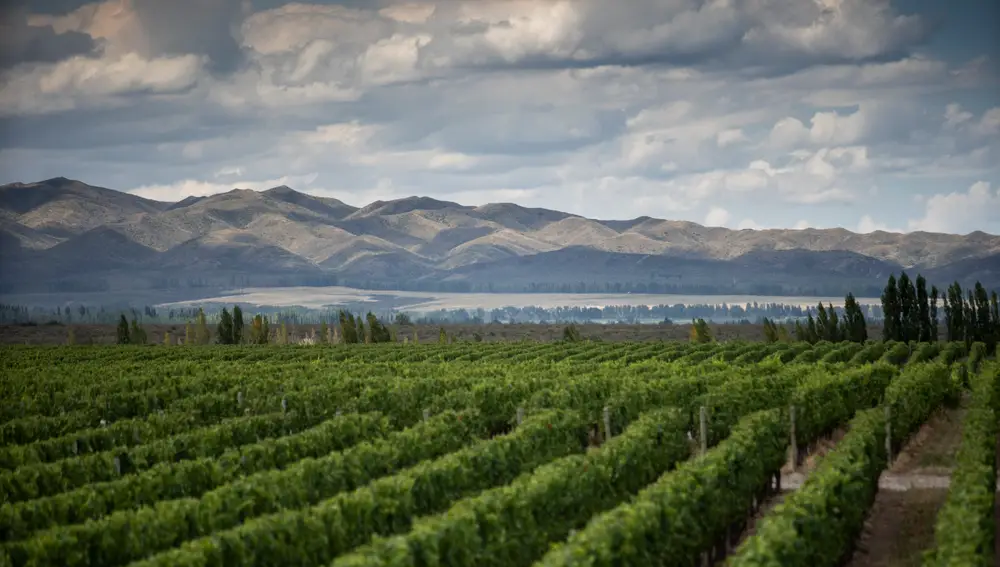 Bodegas CHANDON, en las laderas de los Andes