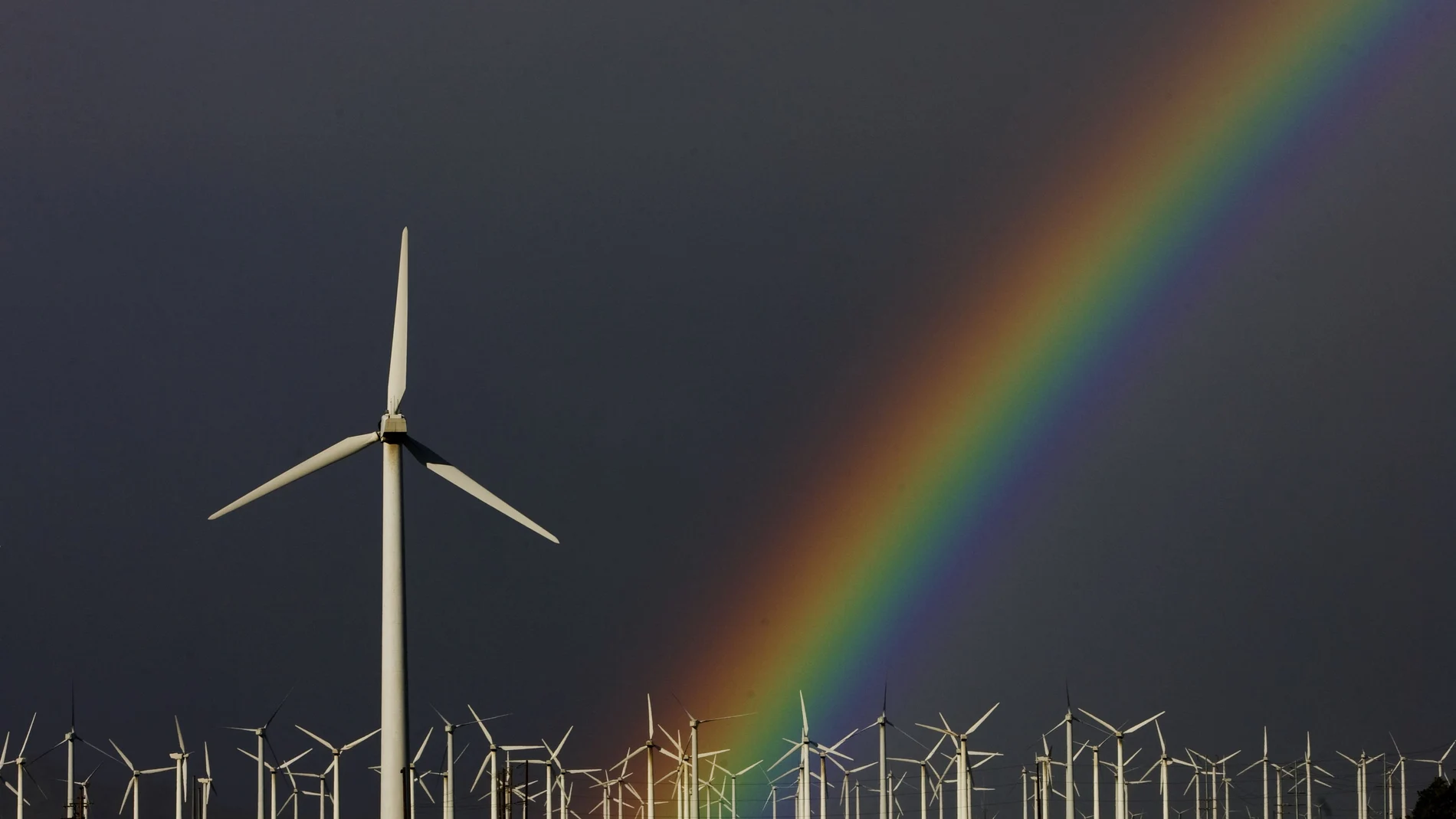 La entidad ha apostado por proyectos de generación de energías limpias