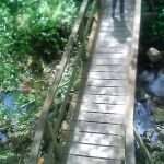 El sendero más bonito de Cantabria.