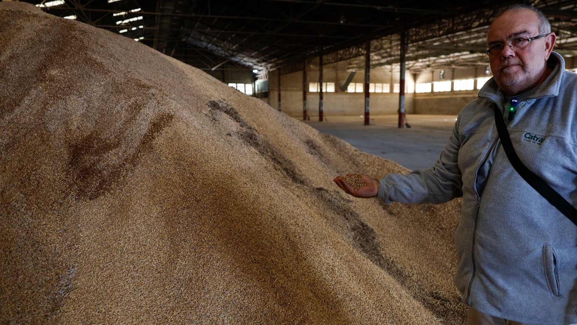 El cooperativista, Jaime Pons, muestra el arroz almacenado en la secadora de la Cooperativa Agrícola de San Pedro de Massanassa