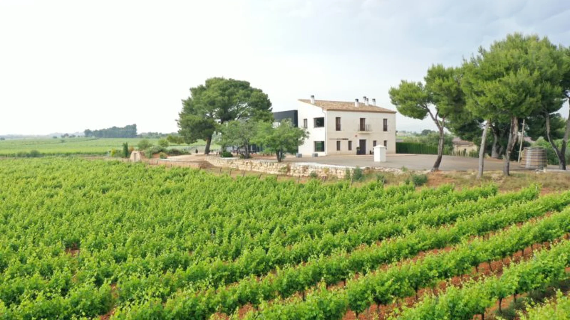 La bodega Hispano Suiza está situada en Requena
