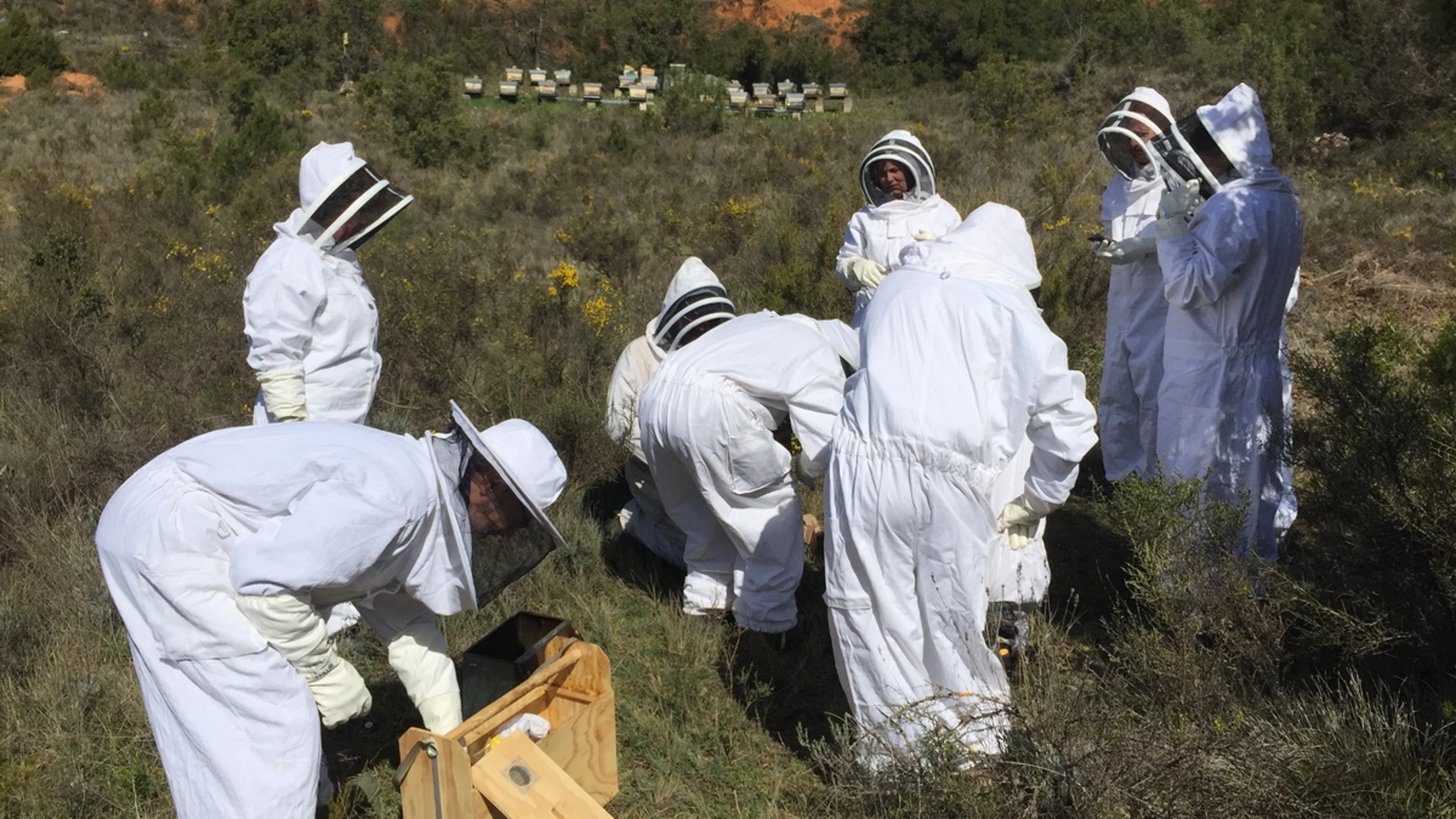 Cinco planes de agroturismo originales para escapar de la rutina