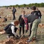 La Fundación Renault Group planta su cuarto bosque reafirmando su compromiso con la descarbonización, en un área entre Ciguñuela y Robladillo (Valladolid)