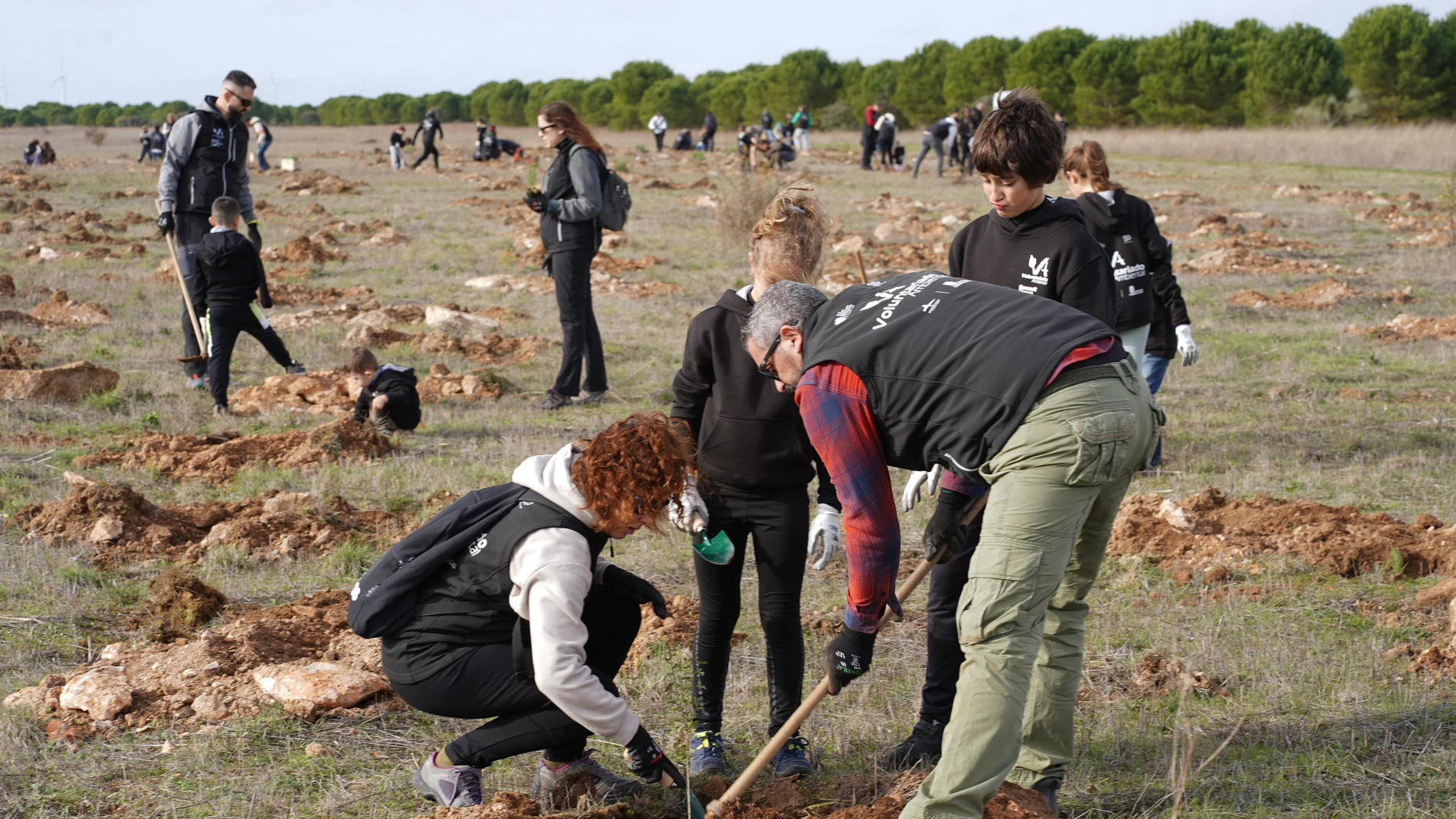 La Fundación Renault Group planta su cuarto bosque reafirmando su compromiso con la descarbonización, en un área entre Ciguñuela y Robladillo (Valladolid)