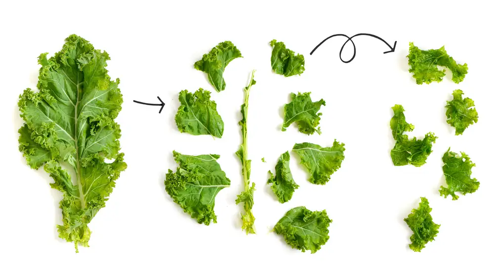 Hoja de kale