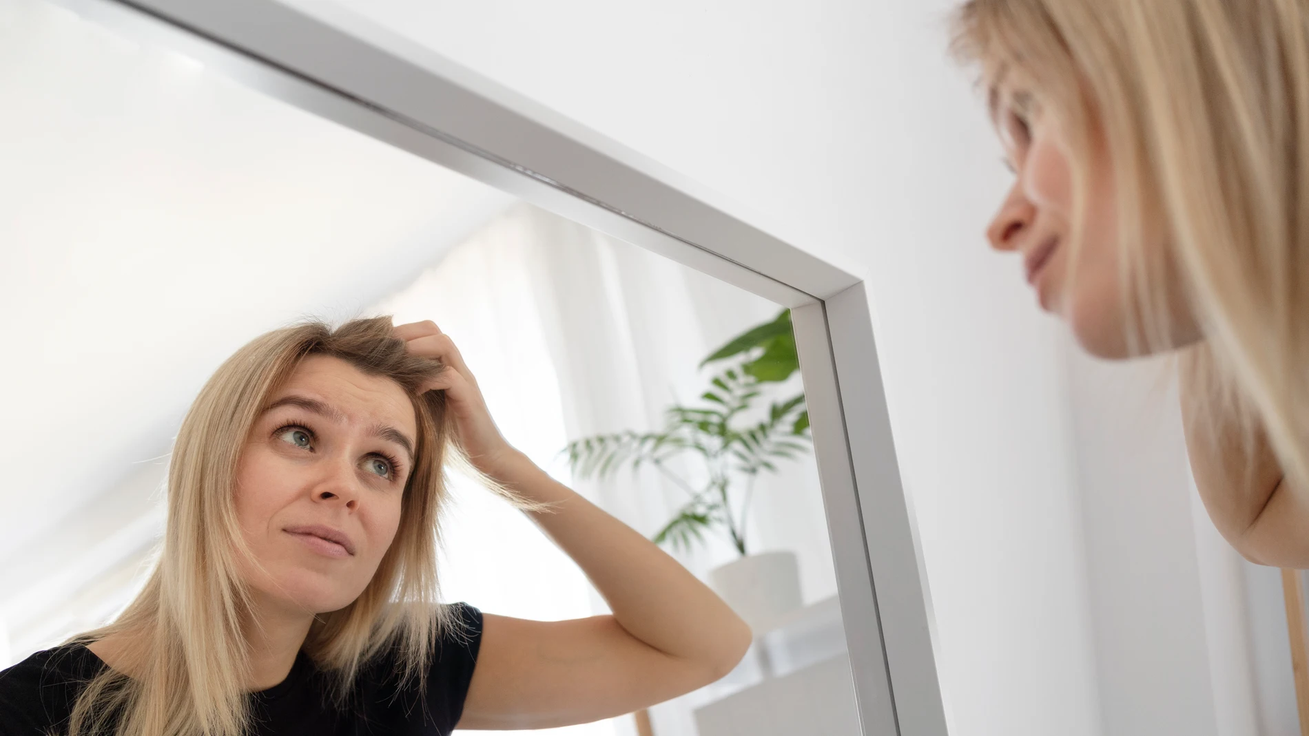 Las canas se pueden revertir, según un estudio.