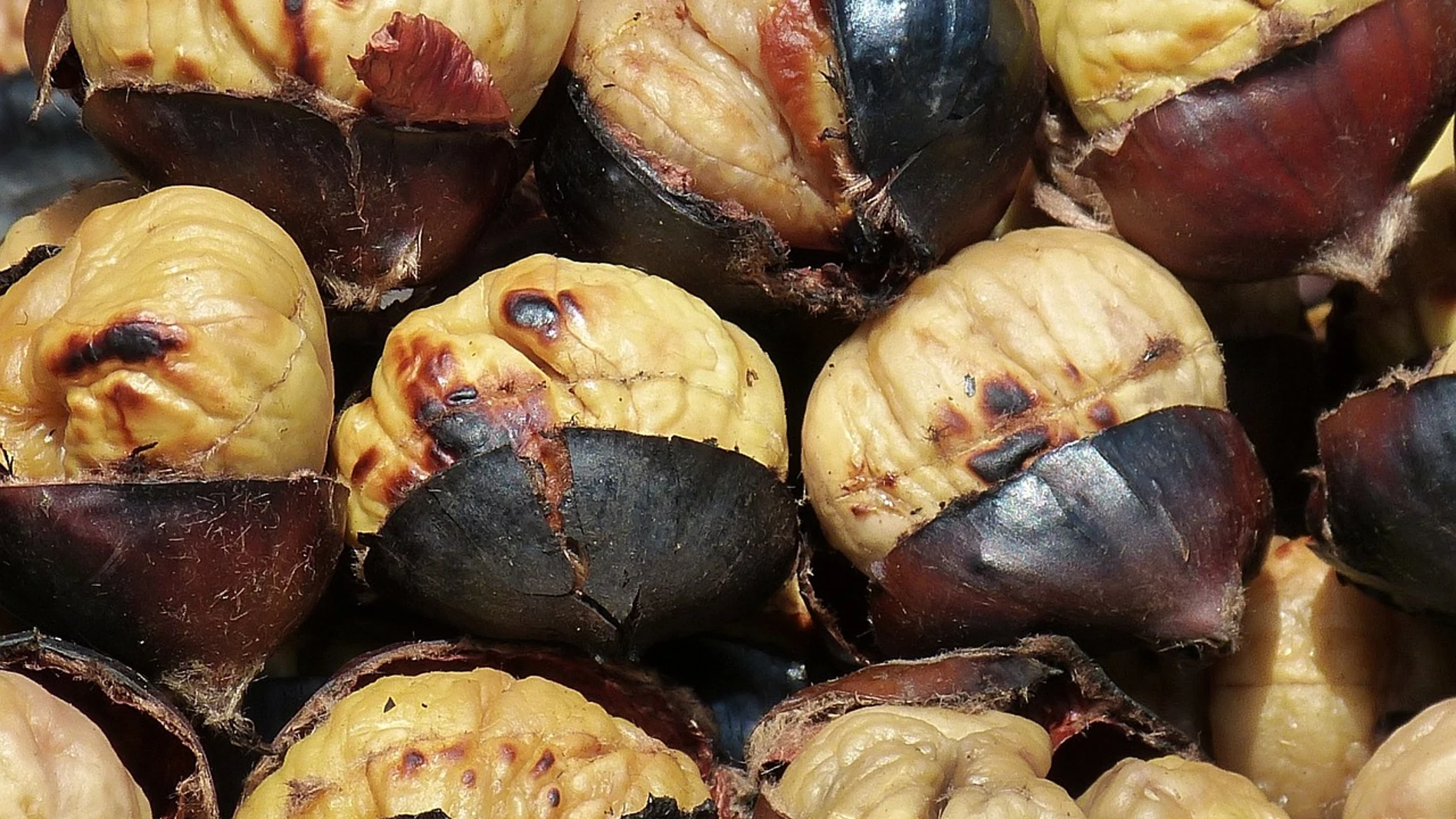 Castañas asadas