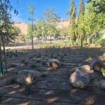 Zona verde María de Villota