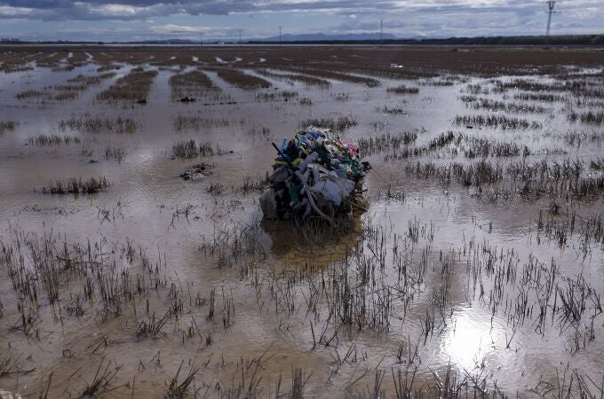 GRAFCVA3970. MASSANASSA (VALENCIA), 23/11/2024.- Detalle de la basura traída hasta los arrozales de La Albufera por la fuerza del agua de las inundaciones provocadas por la dana del pasado 29 de octubre. EFE/Kai Försterling