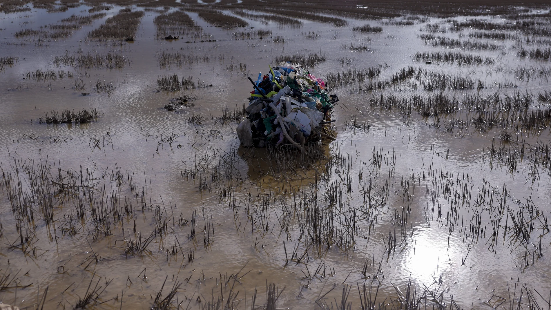 GRAFCVA3970. MASSANASSA (VALENCIA), 23/11/2024.- Detalle de la basura traída hasta los arrozales de La Albufera por la fuerza del agua de las inundaciones provocadas por la dana del pasado 29 de octubre. EFE/Kai Försterling