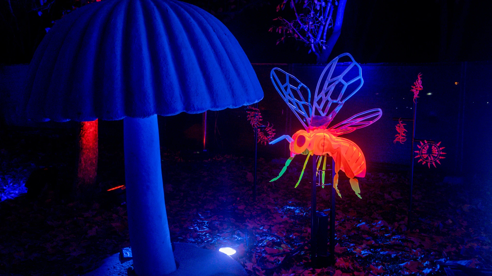 Un decorado iluminado durante la inauguración de la sexta edición del evento Naturaleza Encendida, en el Parque Enrique Tierno Galván en el Auditorio Anfiteatro Romano, a 26 de noviembre de 2024, en Madrid (España). Naturaleza encendida vuelve por sexto año consecutivo a la capital madrileña con una nueva propuesta: LIFE, en el Parque Enrique Tierno Galván.26 NOVIEMBRE 2024;ILUMINACIÓN;DECORACIÓN;NATURALEZA;NATURALEZA ENCENDIDA;COLORESRicardo Rubio / Europa Press26/11/2024