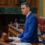 Comparecencia de Pedro Sánchez en el Congreso