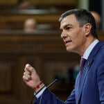 Comparecencia de Pedro Sánchez en el Congreso
