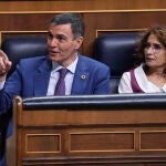 Comparecencia de Pedro Sánchez en el Congreso