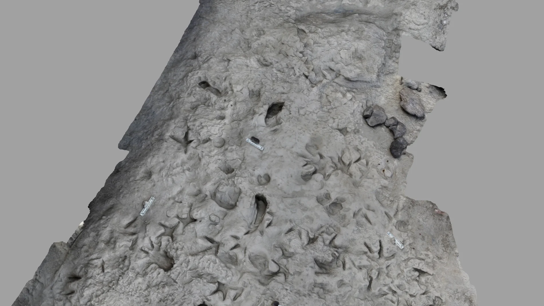 Un modelo computarizado en 3D de la superficie del área cercana al lago Turkana en Kenia muestra huellas fósiles de Paranthropus boisei (huellas verticales) junto con huellas separadas de Homo erectus que forman un camino perpendicular.