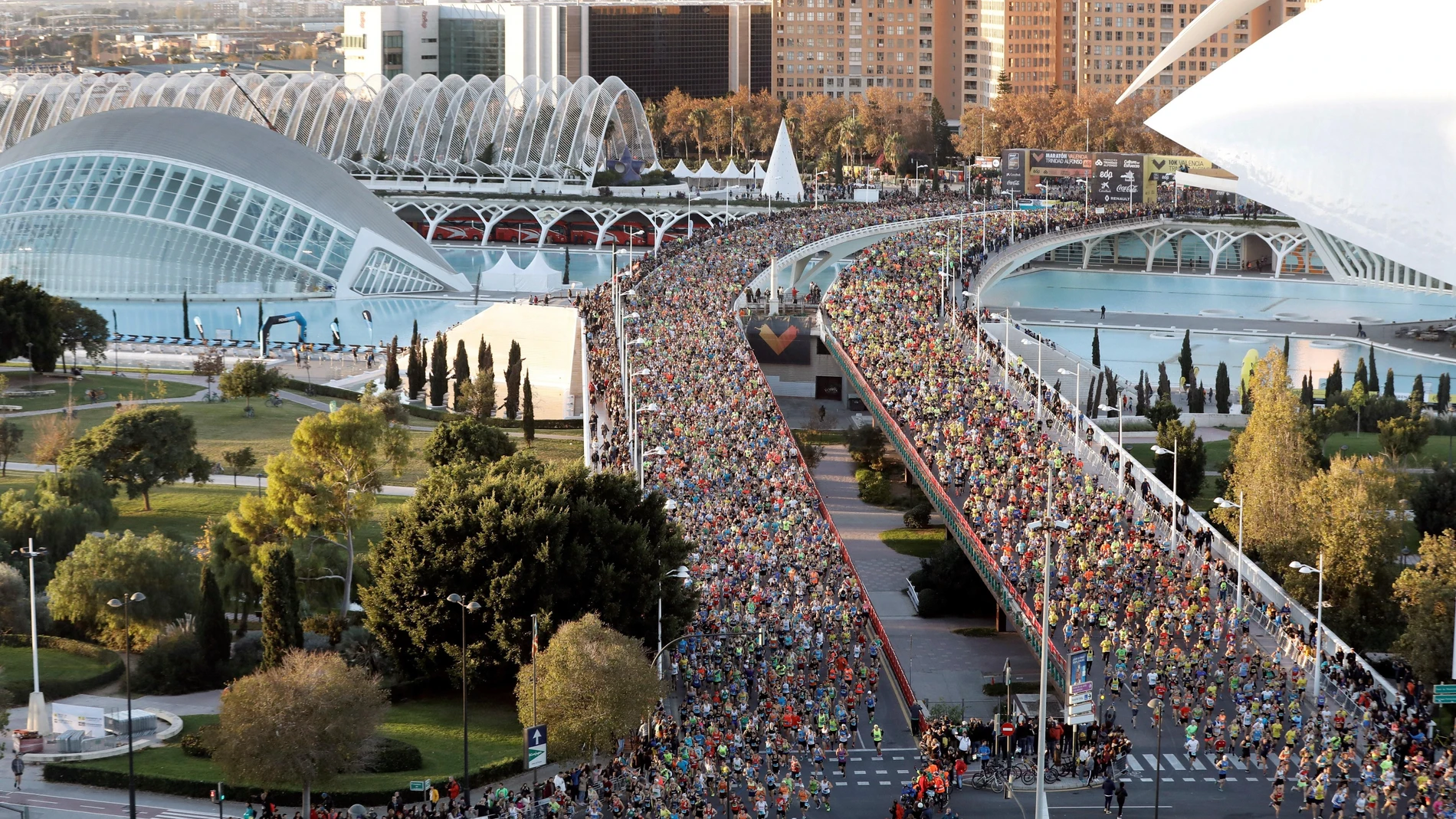 Salida de maratón Valencia Trinidad Alfonso EDP.