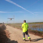 Un dron interviene en la campaña para el tratamiento contra los mosquitos que propagan el Virus del Nilo sobre un arrozal 
