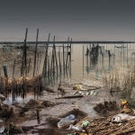 La mitad de los arrozales acumulan escombros, plásticos, medicamentos, combustibles, aceite, desechos industriales y líquidos peligrosos