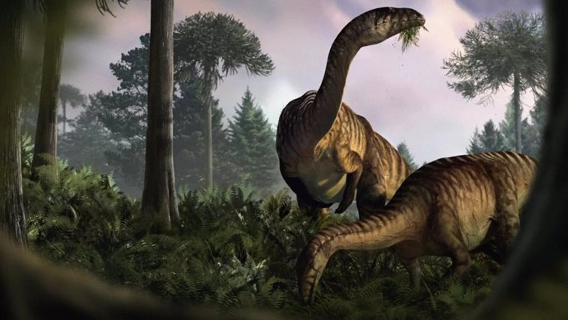 Un dúo de sauropodomorfos: uno mordisqueando las plantas recién evolucionadas en un húmedo entorno del Jurásico Temprano, mientras el otro mira hacia arriba como si algo estuviera escondido en la vegetación. Ilustración: Marcin Ambrozik.
