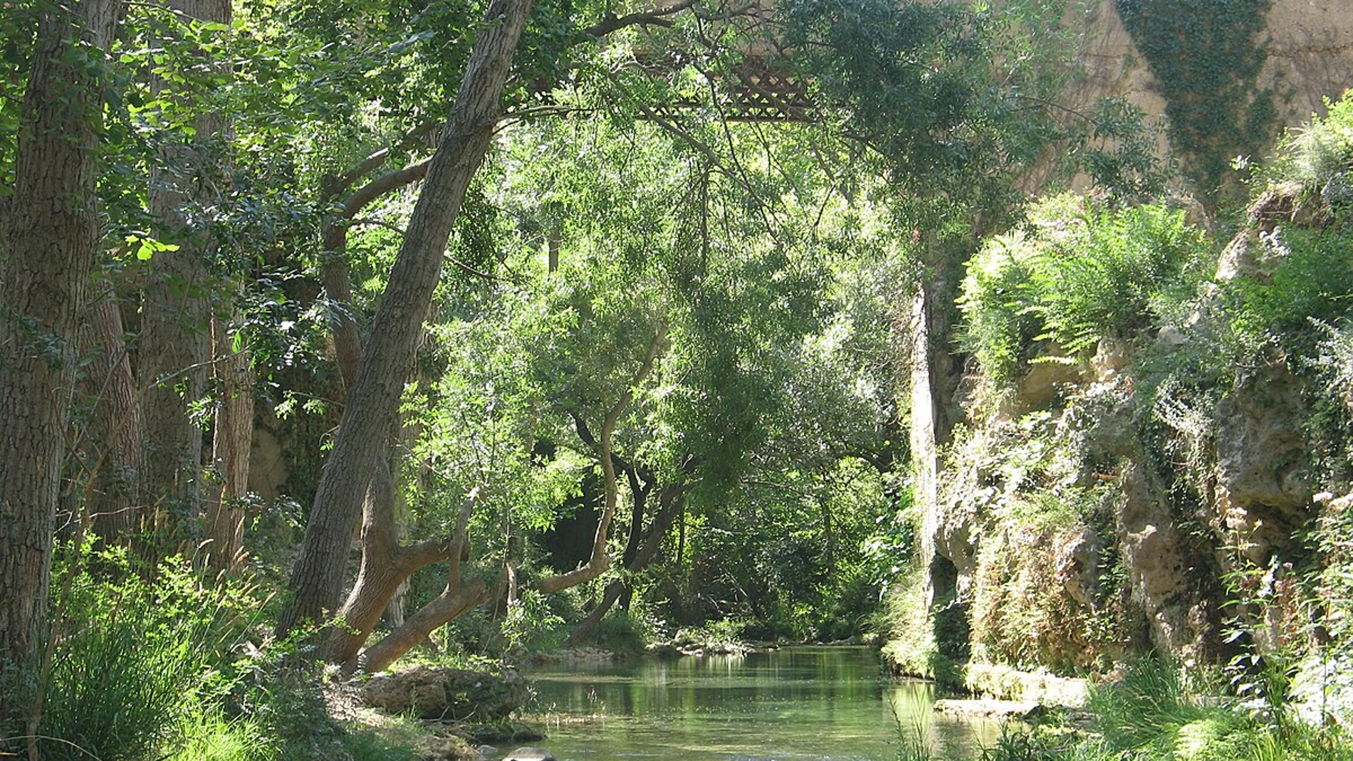Río Sénia, Parcs Naturals Els Ports