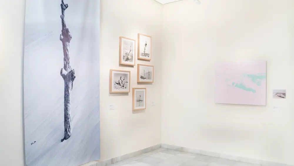 Parte de la obra expuesta de Jorge Camacho