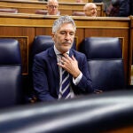 El ministro del Interior, Fernando Grande-Marlaska