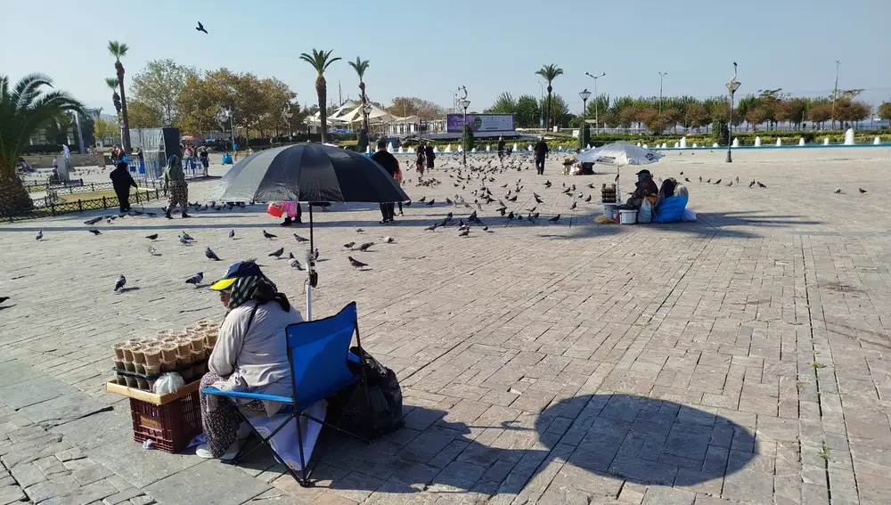 No faltan, alrededor de la "Torre del Reloj", los puestos de comida para las palomas