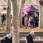 Vista lejana a los puestos del mercadillo medieval de Vic