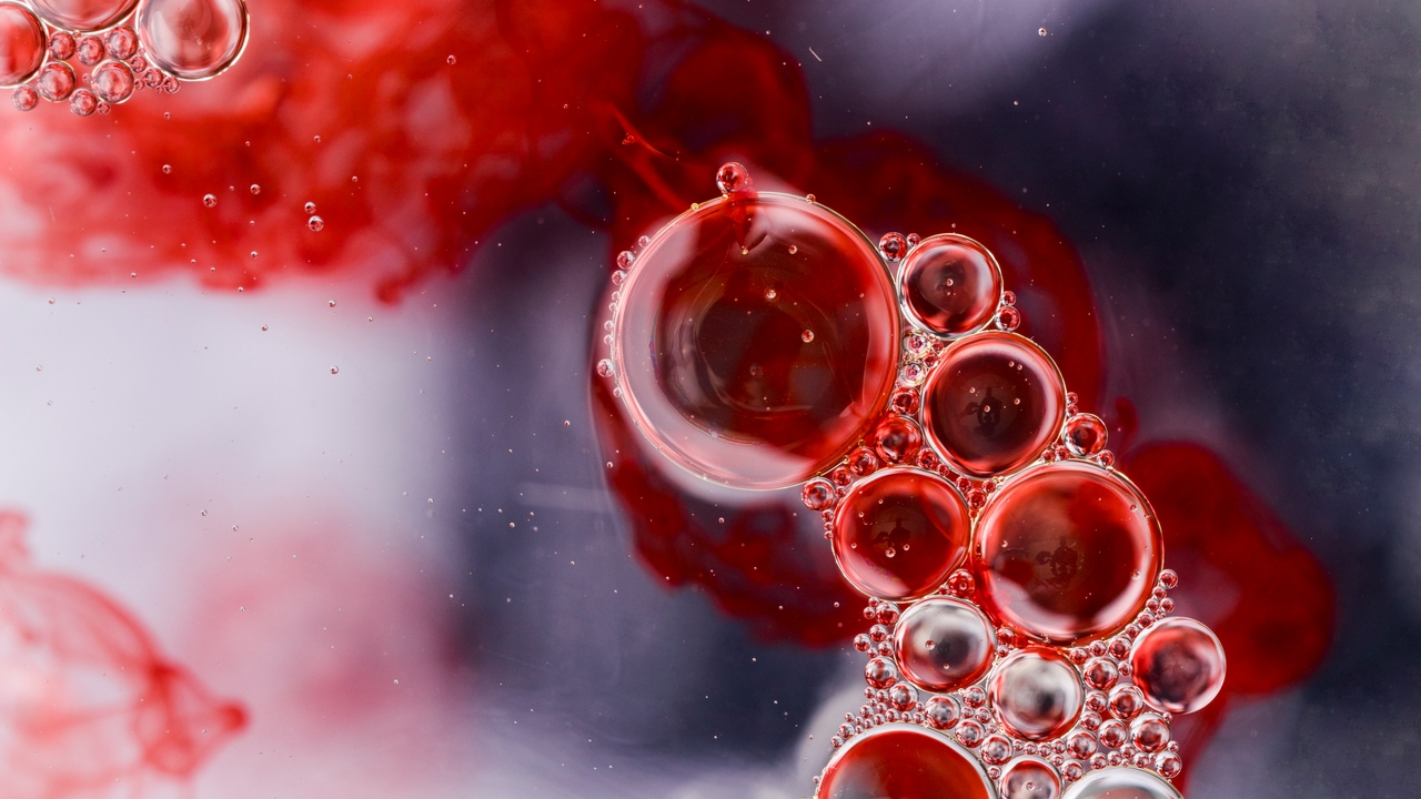 Mieloma múltiple: el cáncer de la sangre que afecta a mayores de 65 años, incurable pero tratable