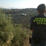 Agente del Seprona