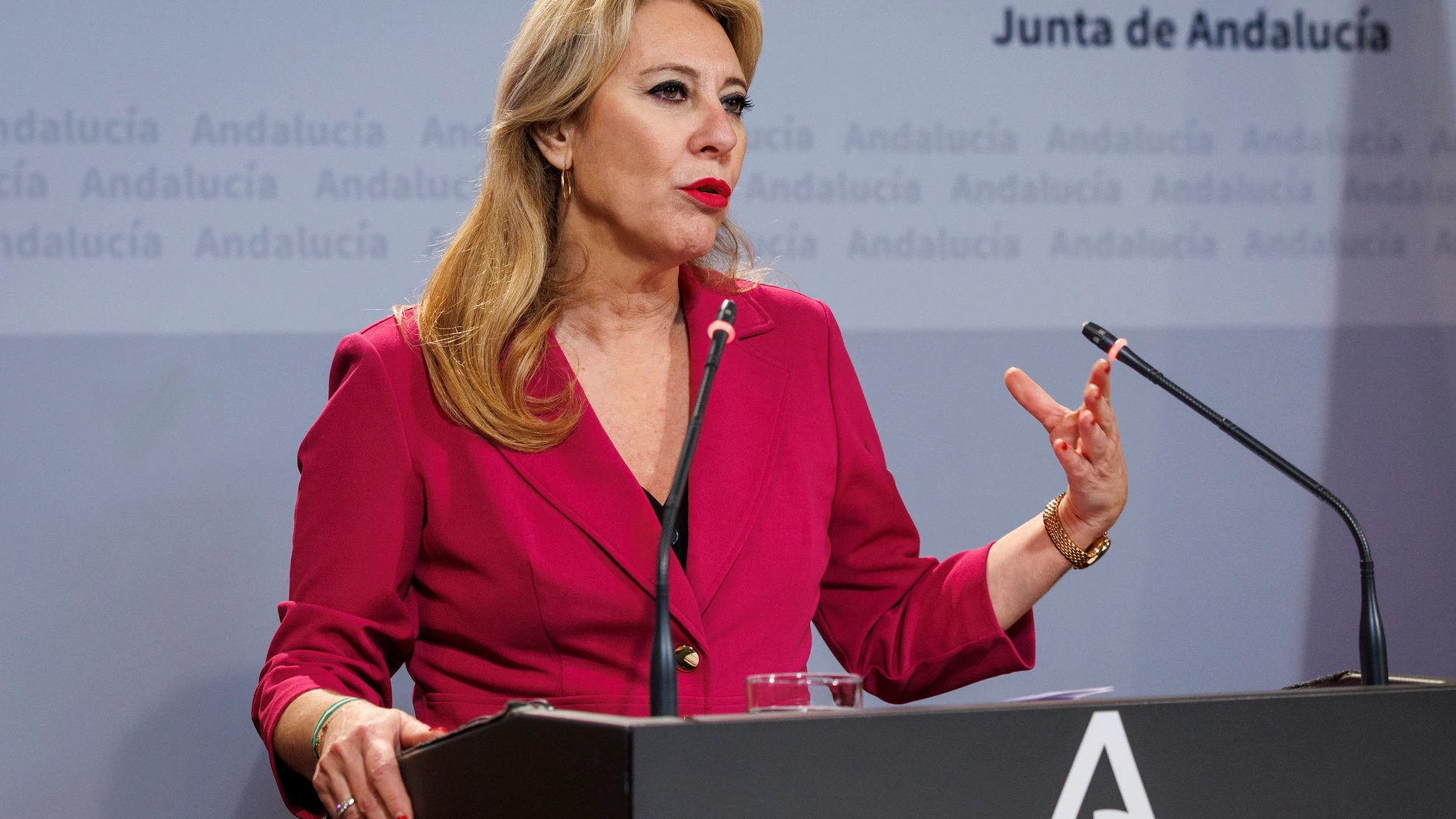 GRAFAND5322. SEVILLA, 03/12/2024.- La consejera de Economía y portavoz del Gobierno, Carolina España, durante su comparecencia tras la reunión que el consejo de gobierno de la Junta de Andalucía ha mantenido hoy en el Palacio de San Telmo de Sevilla. EFE/ Julio Muñoz