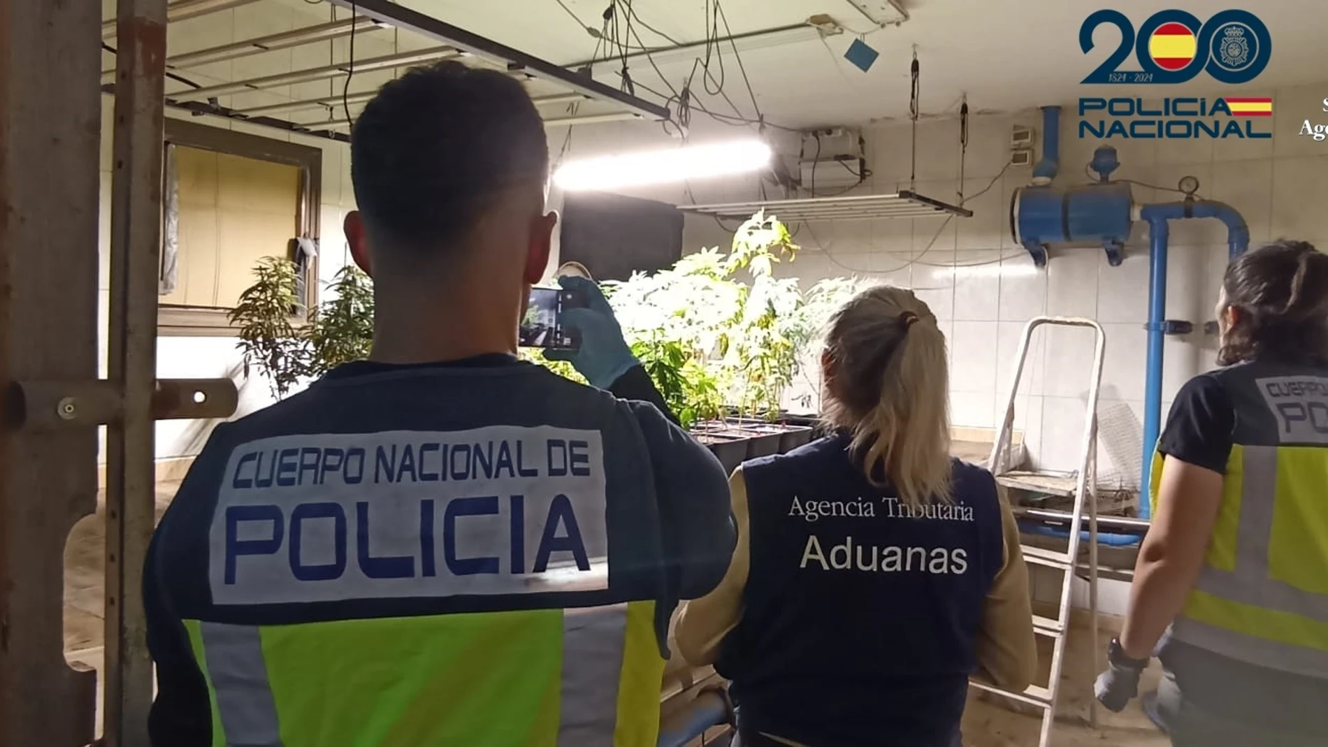 Desarticulado un cultivo de marihuana en Puerto del Rosario REMITIDA / HANDOUT por CEDIDO POR AGENCIA TRIBUTARIA Fotografía remitida a medios de comunicación exclusivamente para ilustrar la noticia a la que hace referencia la imagen, y citando la procedencia de la imagen en la firma 03/12/2024