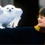 Imagen de la película "Harry Potter y la piedra filosofal"