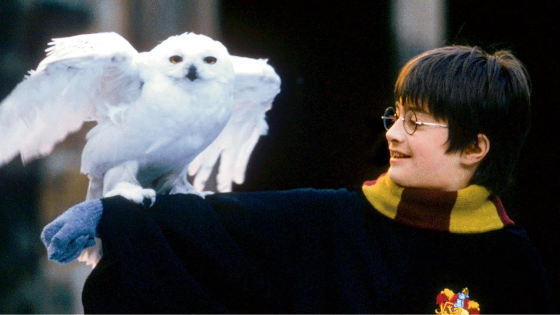 Imagen de la película "Harry Potter y la piedra filosofal"